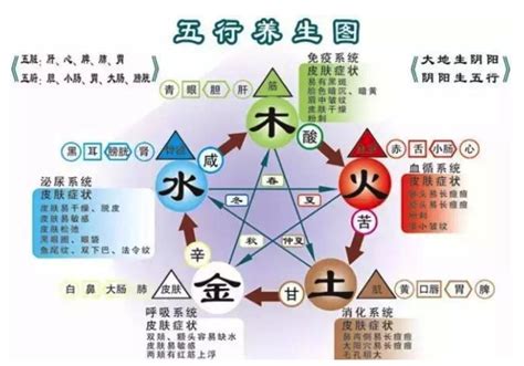 時辰五行|12時辰對應五行屬性，12時辰對應的五行表和時間